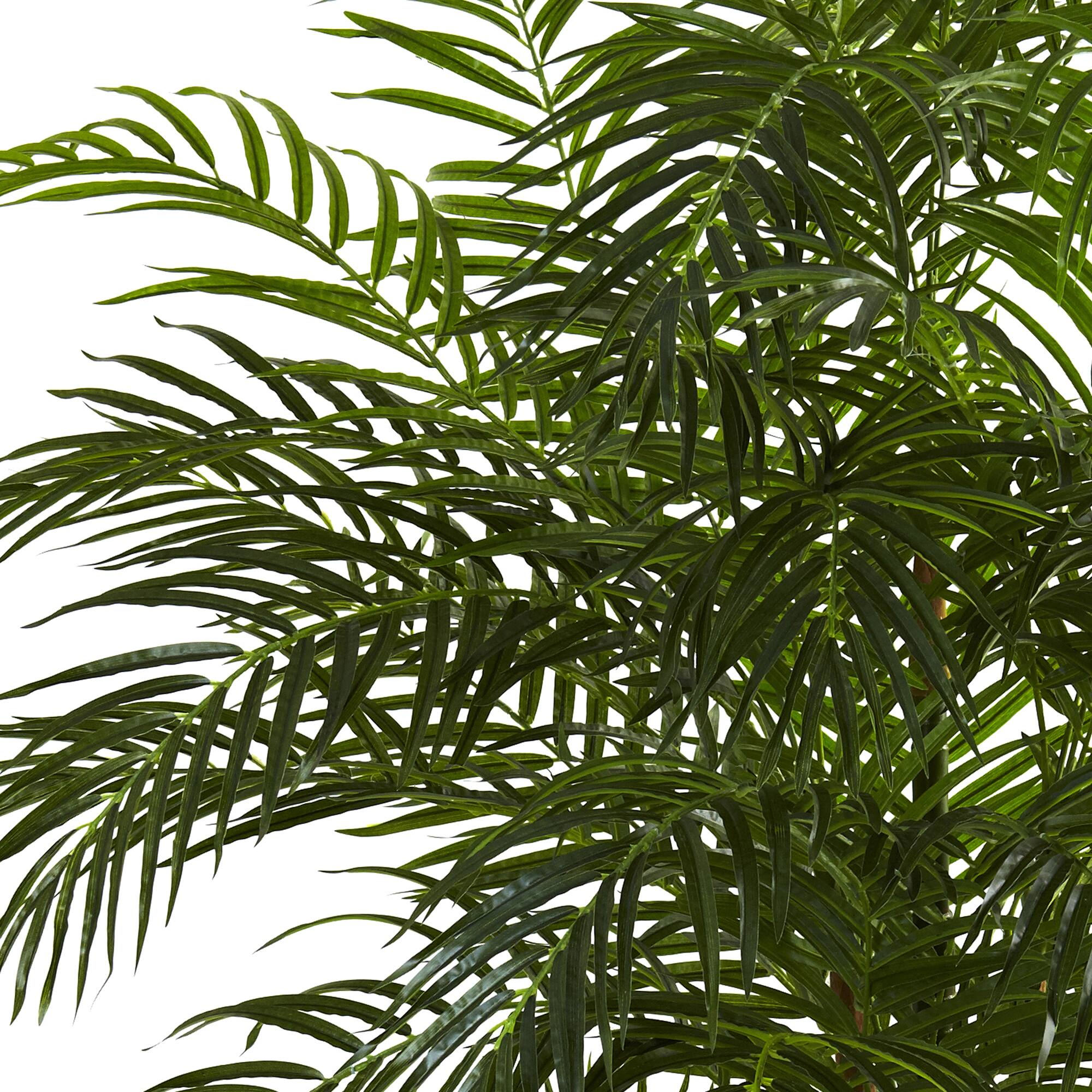 6.5ft. Potted Areca Palm